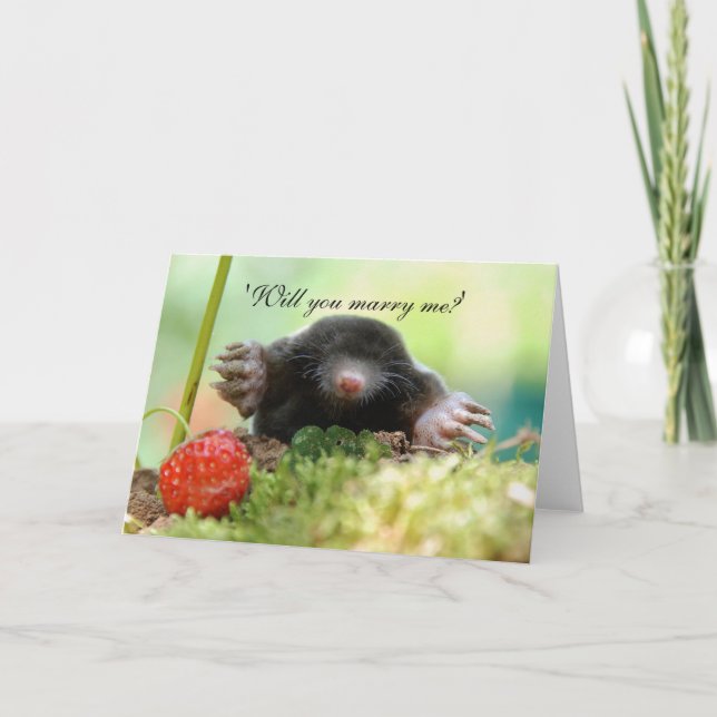 'Will you marry me?' Card (Front)