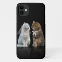 Will you meow me?