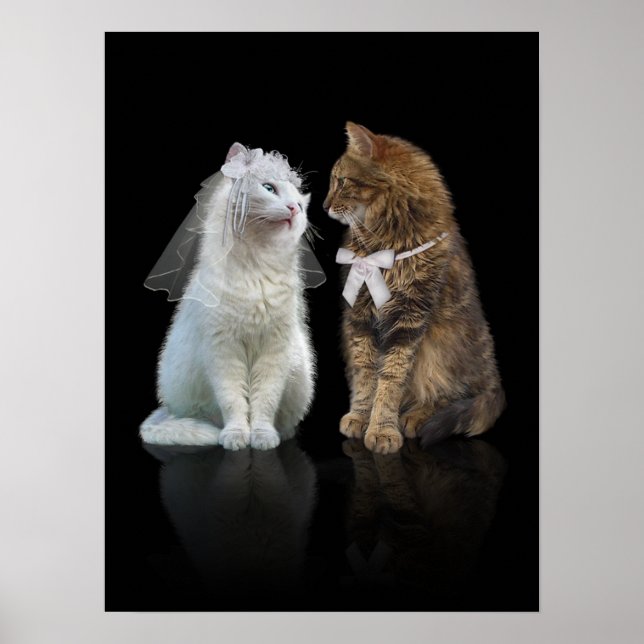 Will you meow me? poster (Front)