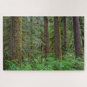Willamette National Forest   Oregon Jigsaw Puzzle