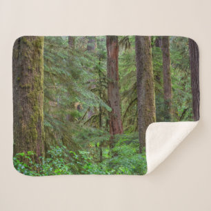 Willamette National Forest   Oregon Sherpa Blanket