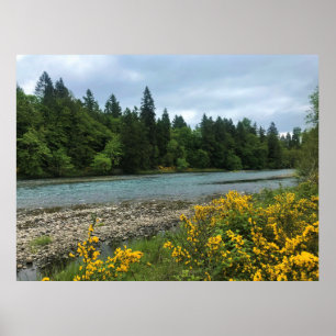 Willamette River, Elijah Bristow State Park, OR Poster