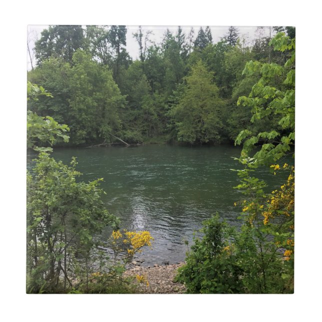 Willamette River, Elijah Bristow State Park, OR Tile (Front)