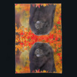 WILLEM - Kitchen Towels<br><div class="desc">A beautiful addition to your kitchen</div>