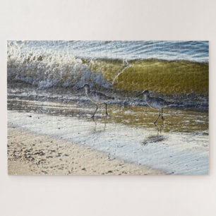 Willet Duo on Dauphin Island, Alabama Jigsaw Puzzle