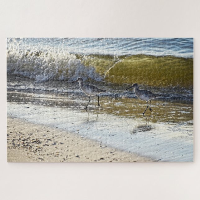Willet Duo on Dauphin Island, Alabama Jigsaw Puzzle (Horizontal)