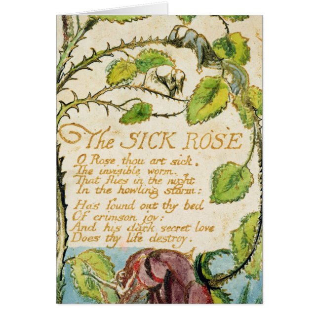 William Blake | le rose malade, des chansons (Devant)