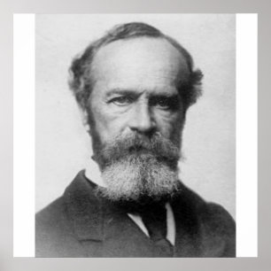 william james poster