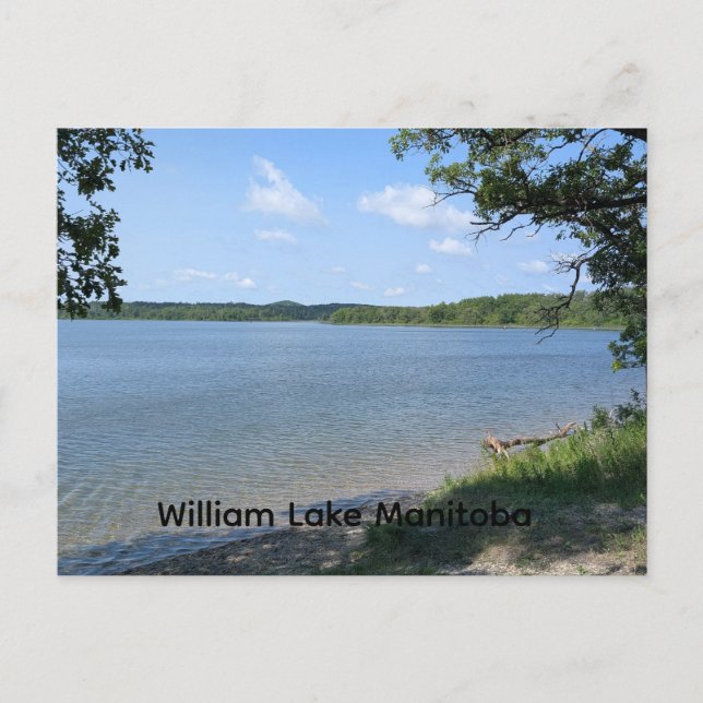 William Lake Manitoba Postcard (Front)