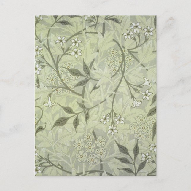 William Morris Jasmine Botanical Postcard (Front)