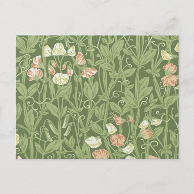 William Morris Sweet Pea Floral Design Postcard (Front)