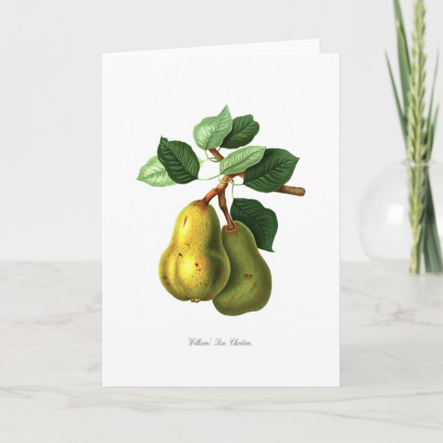 Williams Bon Chretien pear Card (Front)
