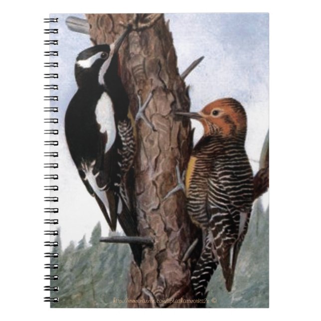 "Williamson's Sapsucker's" Notebook (Front)