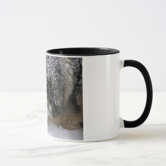 Willie Girl Mug