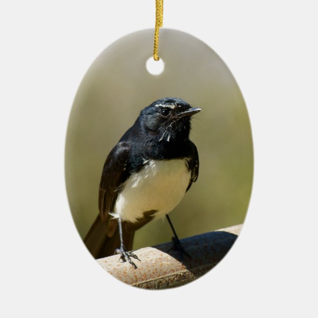 Willie Wagtail Ceramic Ornament (Front)