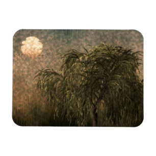 Willow at Sunset Magnet