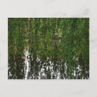 Willow de pleurs avec carte postale d'étang