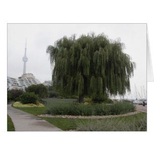 Willow de Weeping Toronto BIG