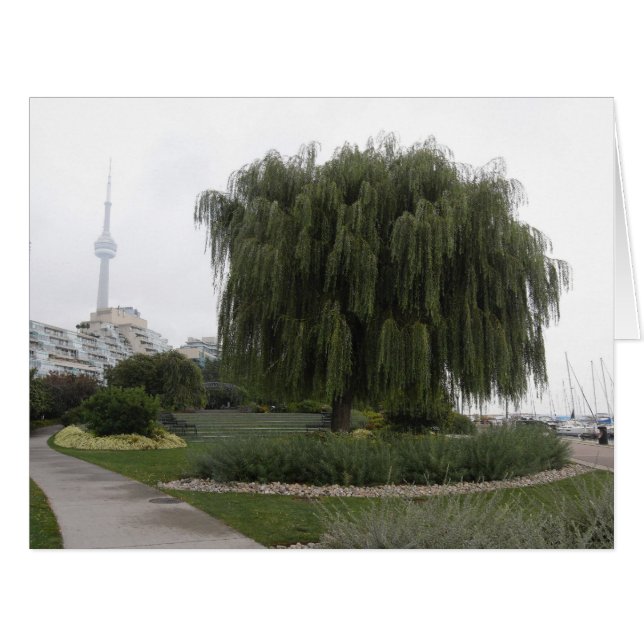 Willow de Weeping Toronto BIG (Devant horizontal)