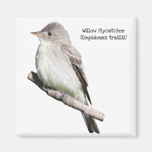 Willow Flycatcher Magnet