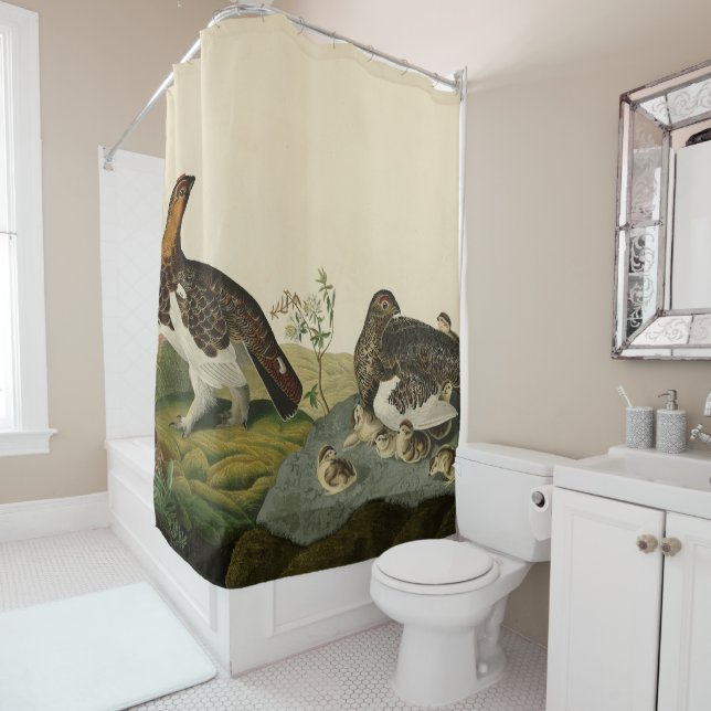 Willow Grous (Grouse) - Audubon's Birds of America (In Situ)