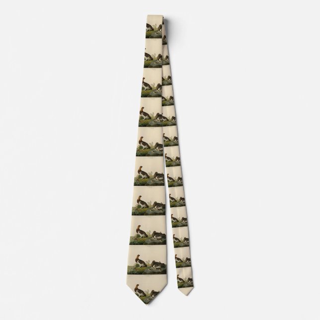 Willow Grous (Grouse) - Audubon's Birds of America Tie (Front)