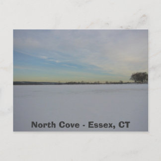 Willow Point Cove, North Cove - Essex, CT Postcard