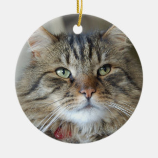 Willow the cat ceramic ornament