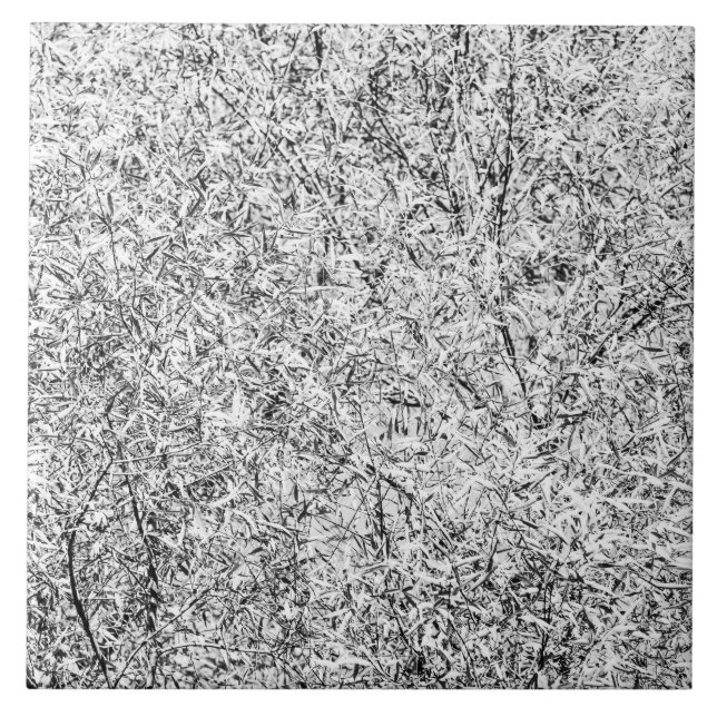 Willow tree leaves. Abstract art of Nature Tile (Front)