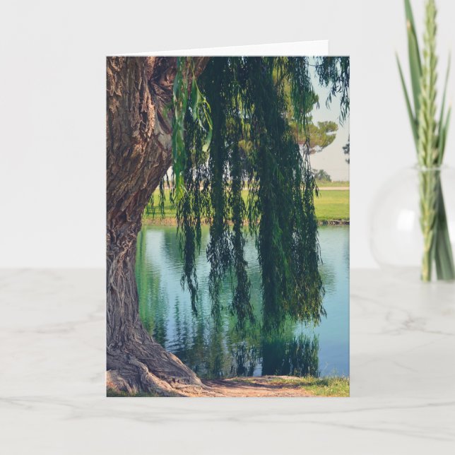 Willow Tree pleut par carte de voeux du lac (Devant)
