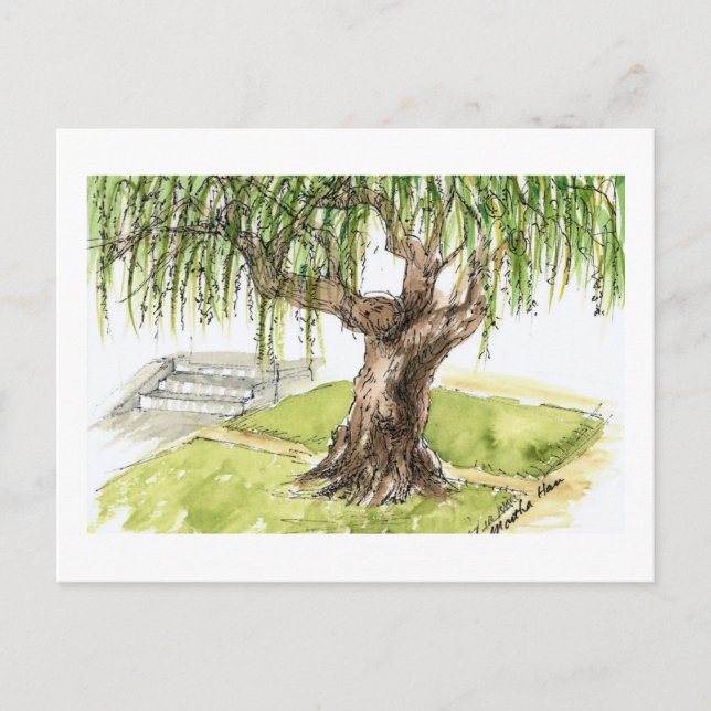 Willow Tree Postcards (Front)