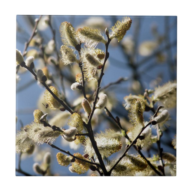 WILLOW TREE TILE (Front)