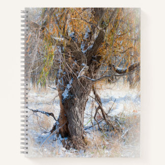 Willow Walking  Notebook