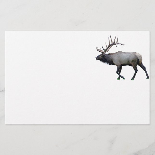 Willow Wapiti elk Stationery (Front)