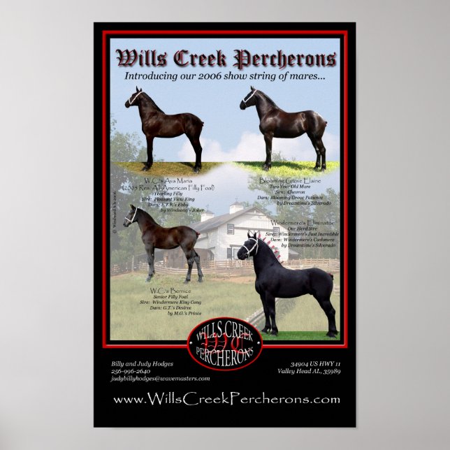 WILLS CREEK PERCHERONS 2006 SHOW STRING POSTER (Front)