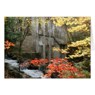 Willson's Ruins, Quebec.