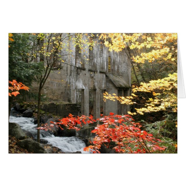 Willson's Ruins, Quebec. (Front Horizontal)