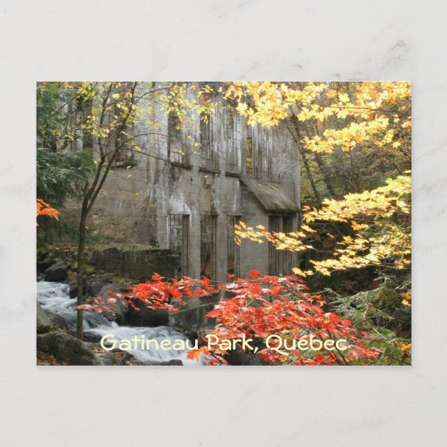 Willson's Ruins, Quebec. Postcard (Front)