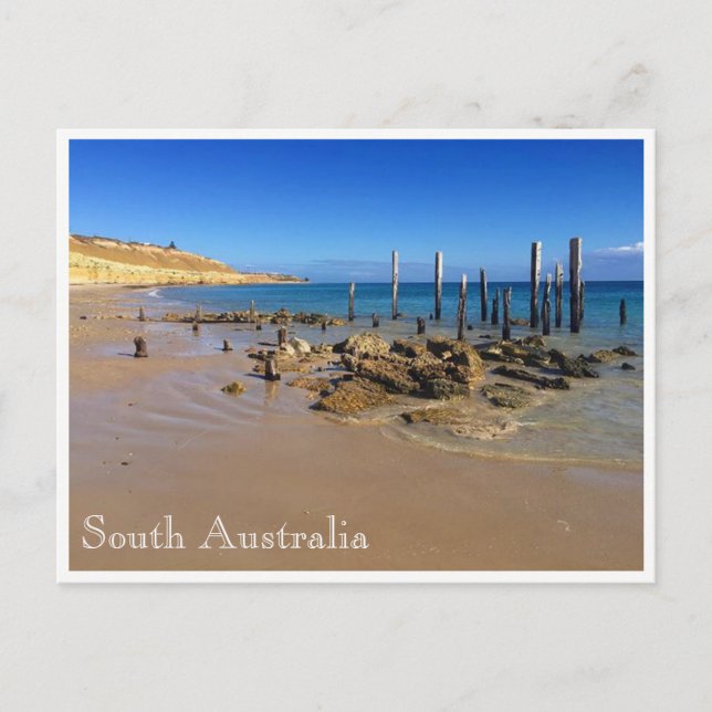 willunga beach postcard (Front)