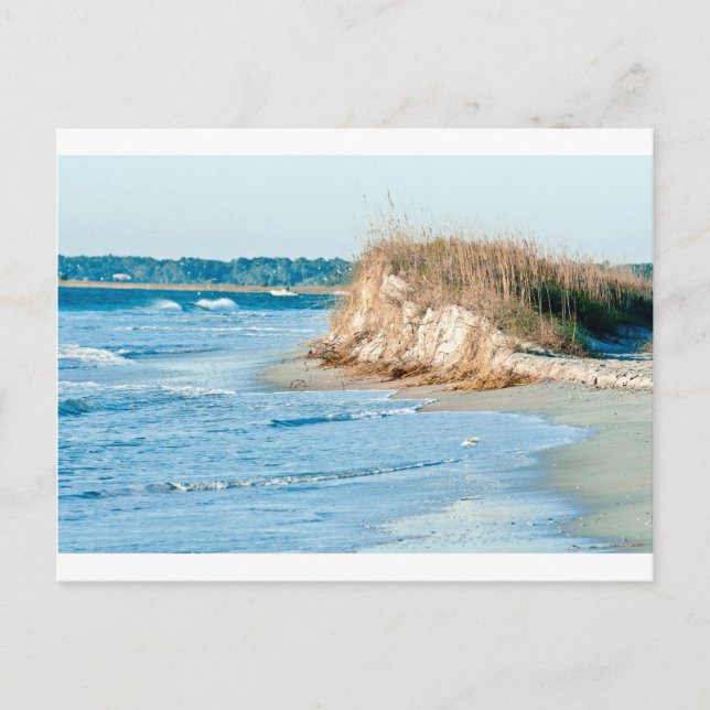 Wilmington NC Postcard (Front)