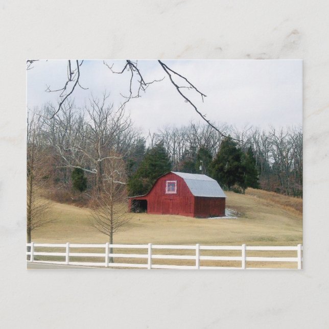 Wilson Barn, Burna Ky Postcard (Front)
