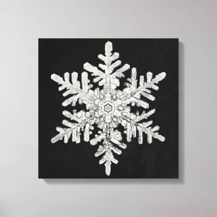 Wilson Bentley's Snowflake Canvas Print