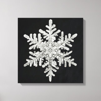 Wilson Bentley's Snowflake Canvas Print