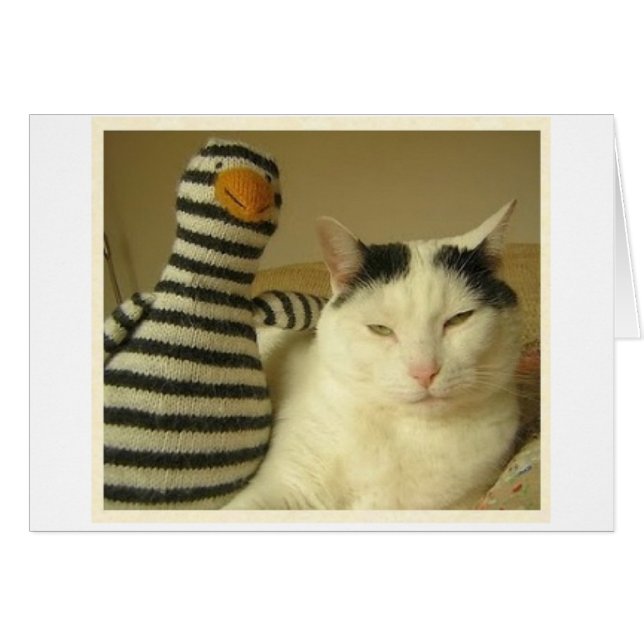 WILSoN et Pengy #1 (Devant horizontal)