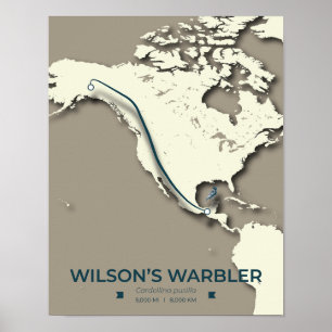 Wilson’s Warbler Migration Map – Minimalist Poster