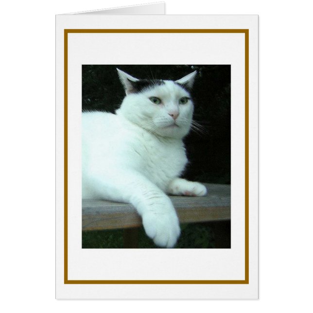 WiLSoN  Second Thought Card (Front)