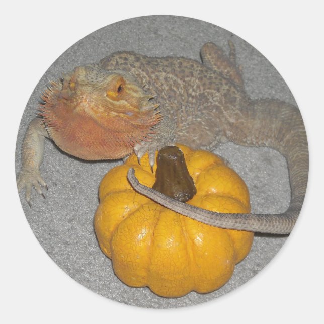 Wilson the Bearded Dragon Classic Round Sticker (Front)