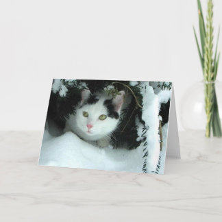 WiLSoN XMaS Greeting Card