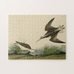 Wilson's Phalarope from Audubon's Birds of America Jigsaw Puzzle