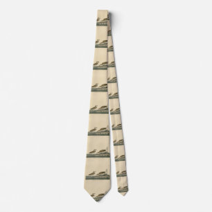 Wilson's Plover from Audubon's Birds of America Tie